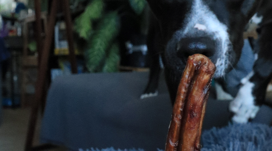 Torito stick — Falo de res